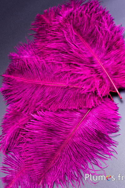 Autruche - 13-18 cm - fuchsia-gris